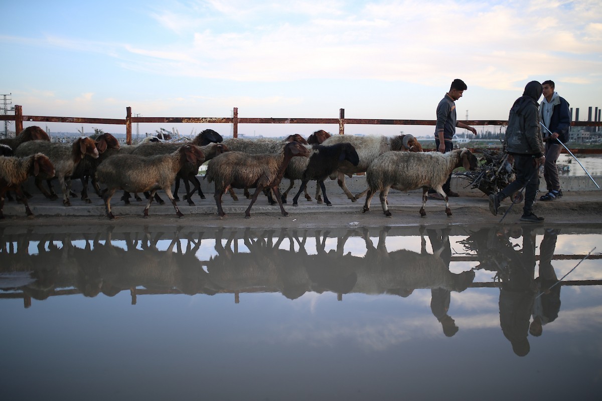 يمارس الفلسطينيون النازحون حياتهم اليومية في مخيم النصيرات بوسط قطاع غزة، في آخر يوم من عام 2025، في 31 ديسمبر/كانون الأول 2025، وسط ظروف إنسانية صعبة فرضها استمرار النزوح ونقص الاحتياجات الأساسية. صورة: رمزي أبو عامر