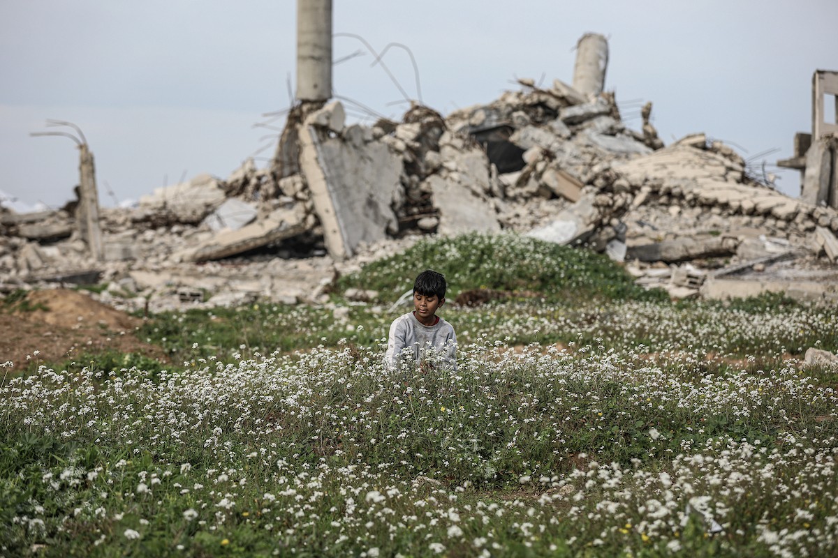 عائلات فلسطينية نازحة تكافح من أجل البقاء في ظروف قاسية بمخيم النصيرات للاجئين وسط قطاع غزة، 29 يناير/كانون الثاني 2026.صورة: رمزي أبو عامر