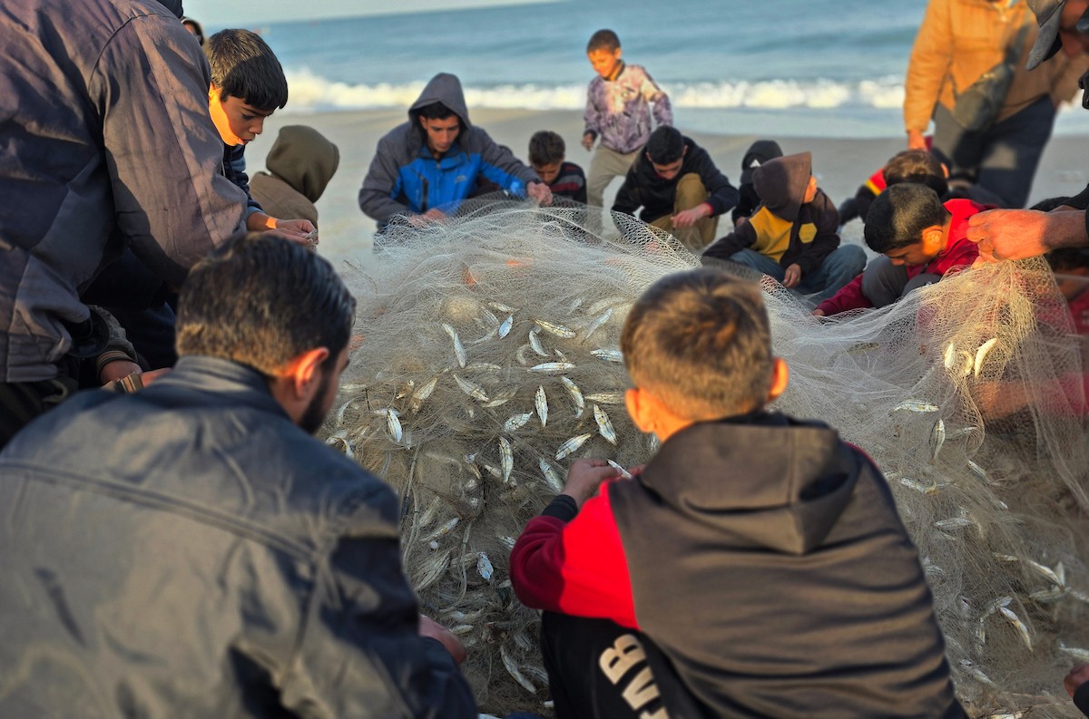 صيادون يعودون للعمل قبالة سواحل خان يونس بإمكانيات محدودة ومخاوف ملاحقتهم واستهدافهم من قبل الاحتلال الاسرائيلي، 31 ديسمبر/كانون الأول 2025. صورة: طارق محمد