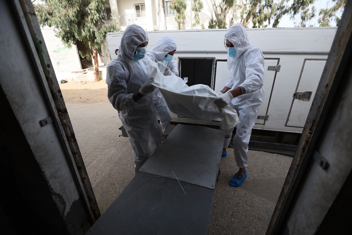 تُجري إدارة الطب الشرعي والأدلة الجنائية بوزارة العدل فحوصاتٍ لخمس عشرة جثة فلسطينية بمستشفى الشفاء في مدينة غزة، لمحاولة التعرف عليها، 30 يناير/كانون الثاني 2026. صورة: عمر أشتوي