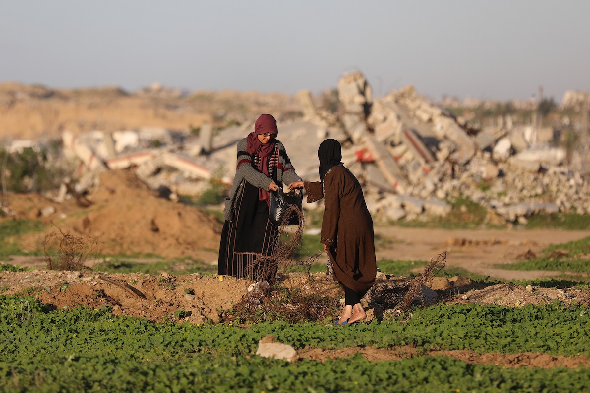 يمارس الفلسطينيون النازحون حياتهم اليومية في مخيم النصيرات بوسط قطاع غزة، في آخر يوم من عام 2025، في 31 ديسمبر/كانون الأول 2025، وسط ظروف إنسانية صعبة فرضها استمرار النزوح ونقص الاحتياجات الأساسية. صورة: رمزي أبو عامر