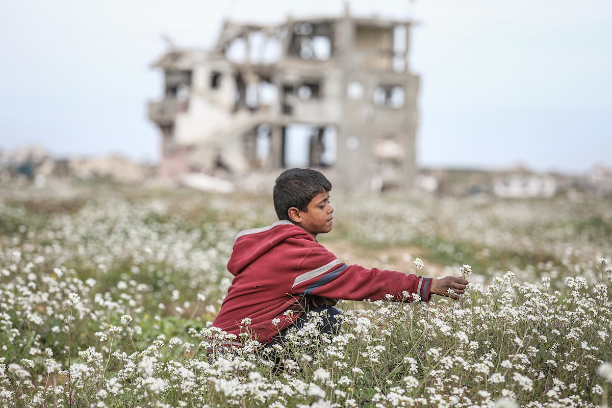 عائلات فلسطينية نازحة تكافح من أجل البقاء في ظروف قاسية بمخيم النصيرات للاجئين وسط قطاع غزة، 29 يناير/كانون الثاني 2026.صورة: رمزي أبو عامر