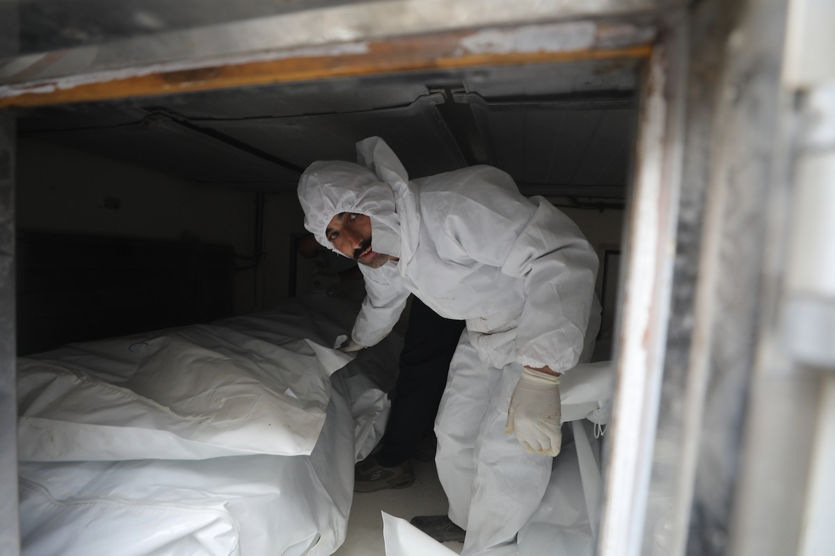 تُجري إدارة الطب الشرعي والأدلة الجنائية بوزارة العدل فحوصاتٍ لخمس عشرة جثة فلسطينية بمستشفى الشفاء في مدينة غزة، لمحاولة التعرف عليها، 30 يناير/كانون الثاني 2026. صورة: عمر أشتوي