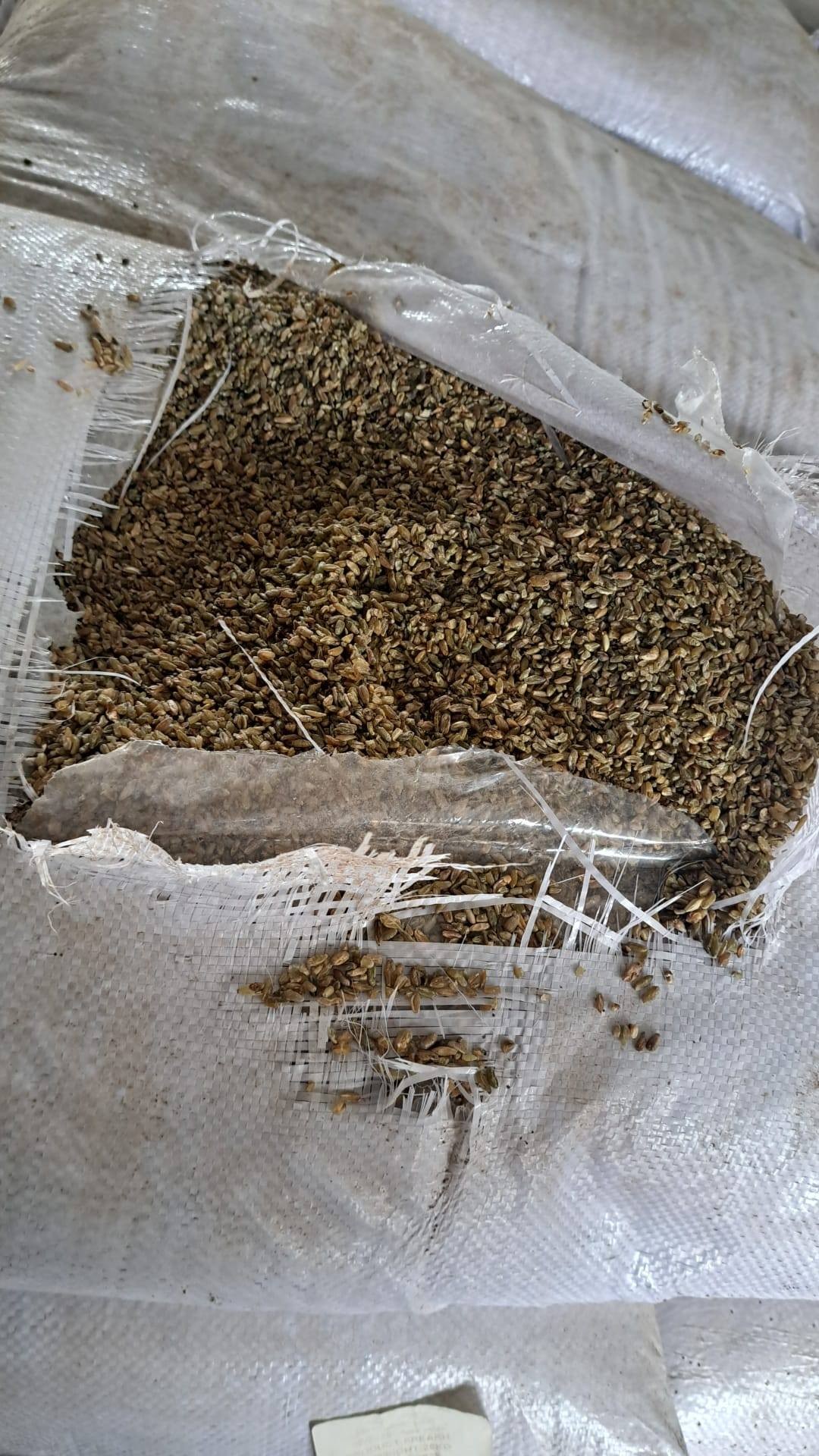 ضبط 50 طنا من الحبوب والمكسرات التالفة في محافظة الخليل.jpg