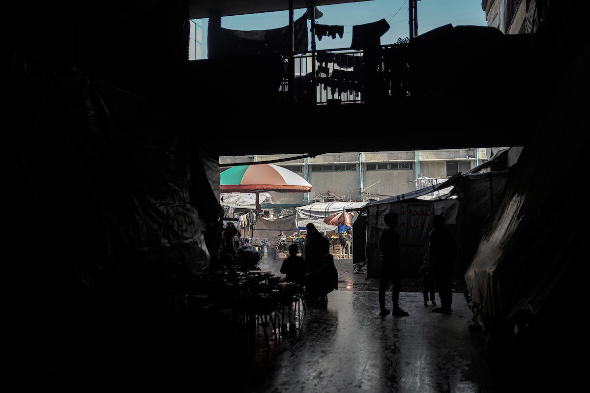 يعيش الفلسطينيون النازحون في خيام وملاجئ مؤقتة في مدارس الأونروا بعد أن دمرت الغارات الجوية الإسرائيلية منازلهم. وتمنعهم القيود التي يفرضها 