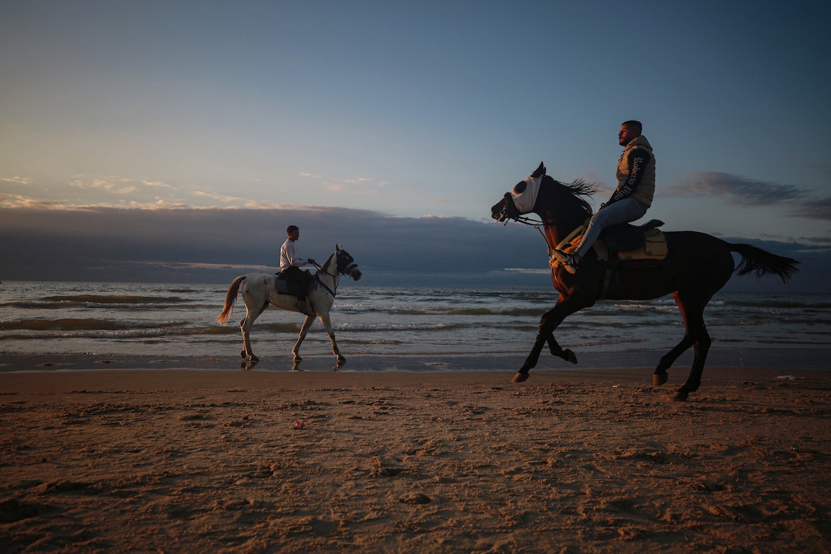 يقضي الفلسطينيون أوقاتهم على شاطئ البحر عند غروب الشمس في مدينة غزة، 16 يناير/كانون الثاني 2026. تصوير: عمر أشتوي