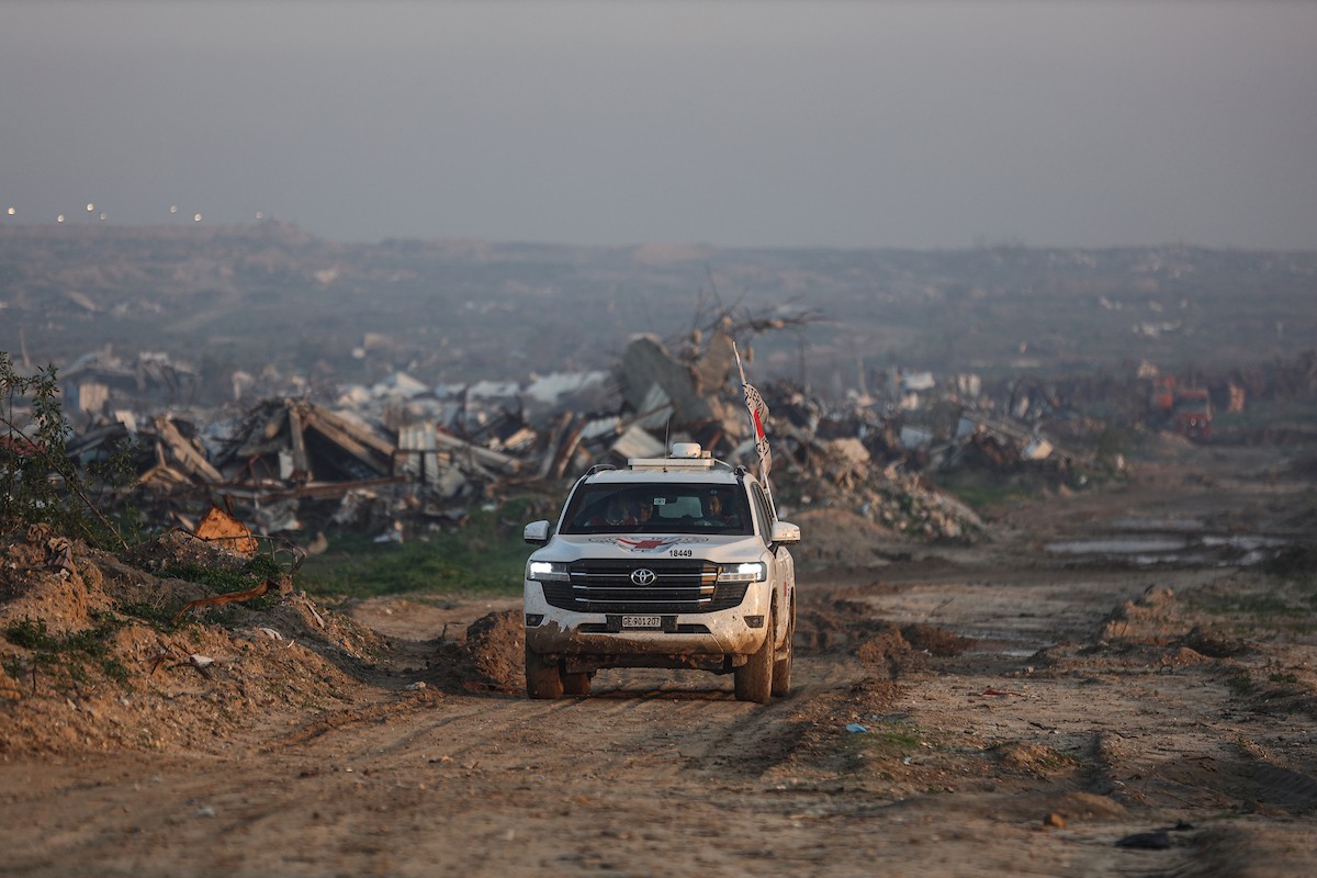 استئناف عمليات البحث عن جثة الرهينة الإسرائيلي الأخير، ران غفيلي، في حي الزيتون بمدينة غزة، وترافق العمليات الجارية في المنطقة آليات ثقيلة من مصر، وفرق من كتائب القسام، الجناح العسكري لحركة 