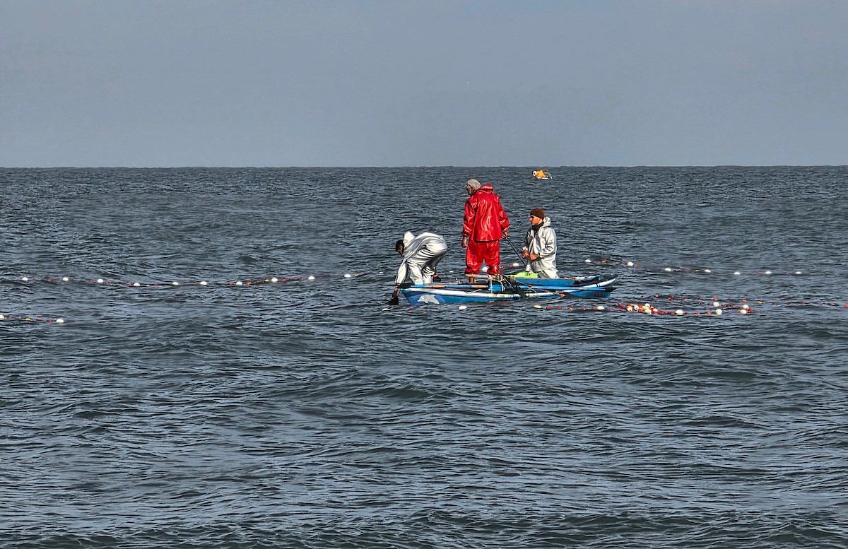 صيادون يعودون للعمل قبالة سواحل خان يونس بإمكانيات محدودة ومخاوف ملاحقتهم واستهدافهم من قبل الاحتلال الاسرائيلي، 31 ديسمبر/كانون الأول 2025. صورة: طارق محمد