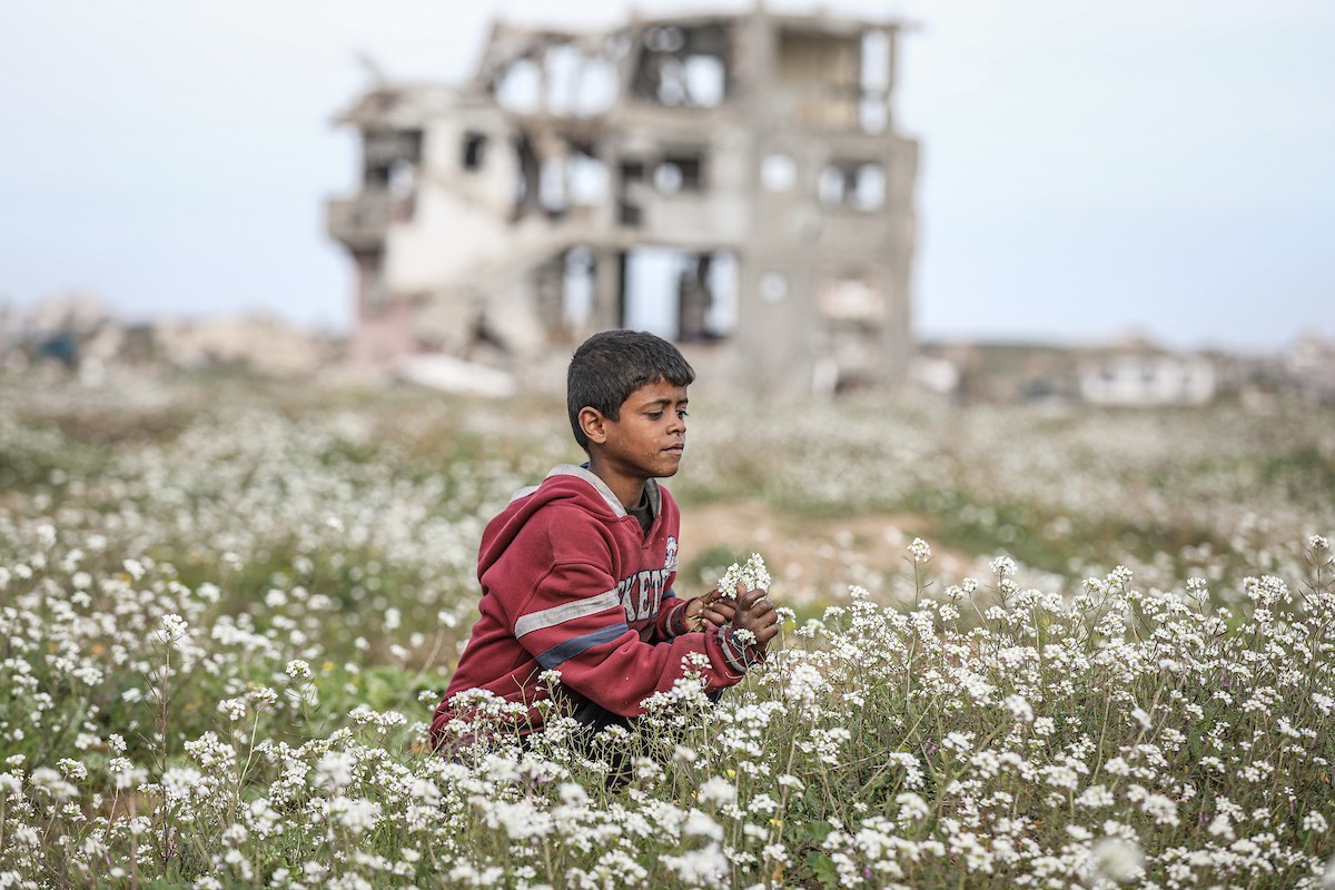 عائلات فلسطينية نازحة تكافح من أجل البقاء في ظروف قاسية بمخيم النصيرات للاجئين وسط قطاع غزة، 29 يناير/كانون الثاني 2026.صورة: رمزي أبو عامر