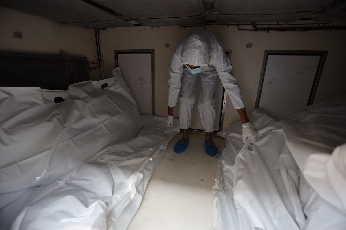 تُجري إدارة الطب الشرعي والأدلة الجنائية بوزارة العدل فحوصاتٍ لخمس عشرة جثة فلسطينية بمستشفى الشفاء في مدينة غزة، لمحاولة التعرف عليها، 30 يناير/كانون الثاني 2026. صورة: عمر أشتوي