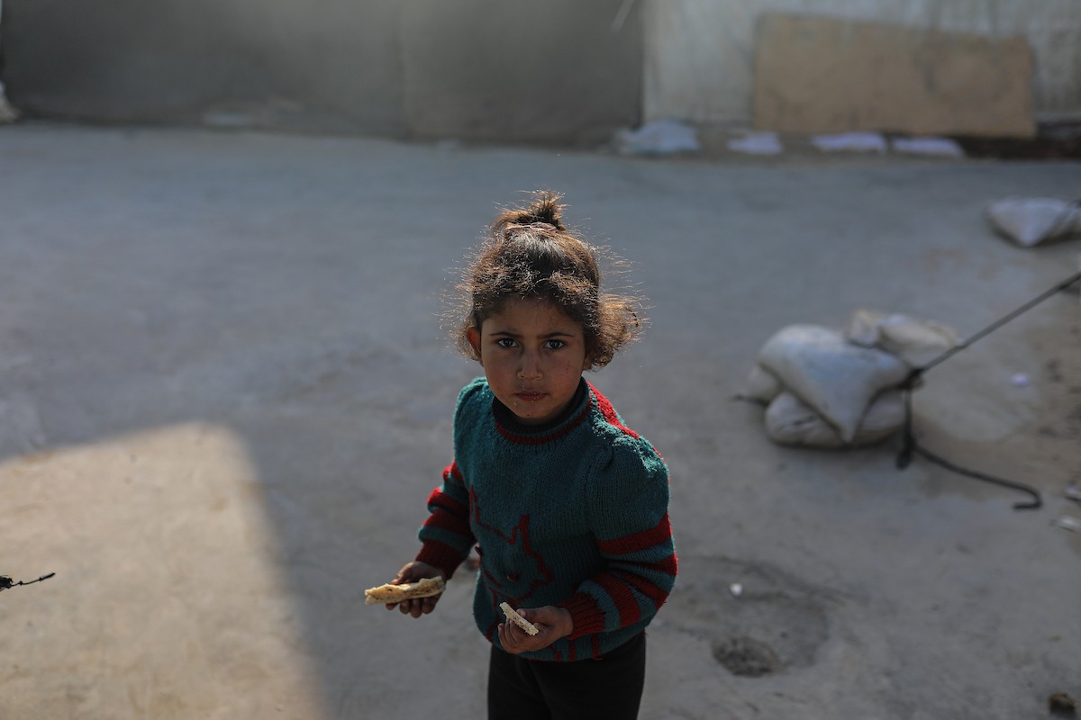 يعيش الفلسطينيون النازحون في خيام وملاجئ مؤقتة في مدارس الأونروا بعد أن دمرت الغارات الجوية الإسرائيلية منازلهم. وتمنعهم القيود التي يفرضها 