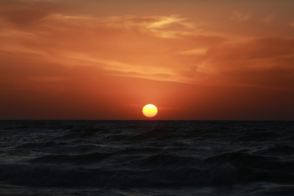 فلسطينيون يودعون عام 2025 بكتابة 2026 على رمال شاطئ غزة، 31 ديسمبركانون الأول 2025. صورة عمر أشتوي