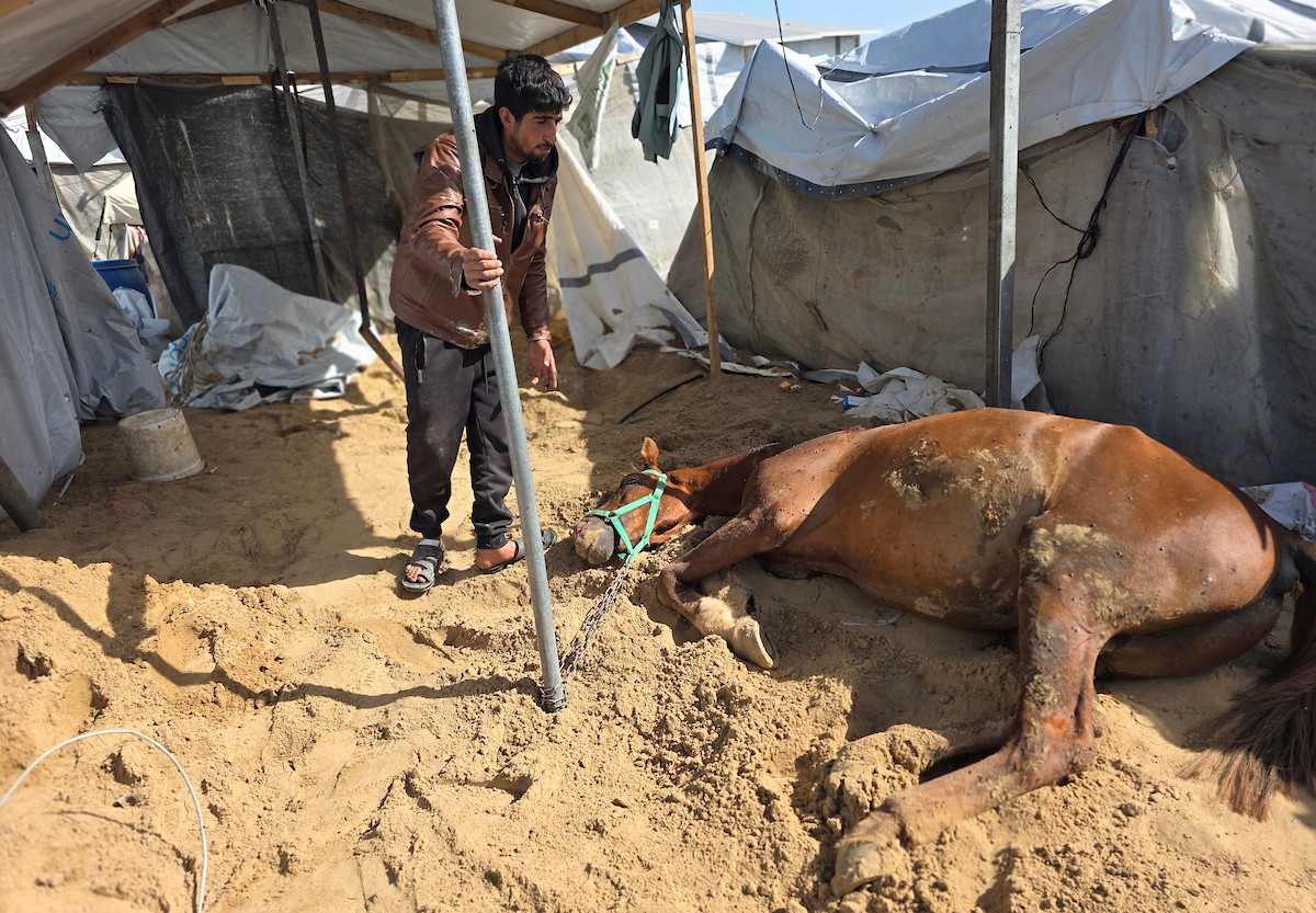 يتفقد فلسطينيون موقع غارة إسرائيلية استهدفت خيامًا في خان يونس، جنوب قطاع غزة، 31 ينايركانون الثاني 2026. صورة طارق محمد (APA Images).