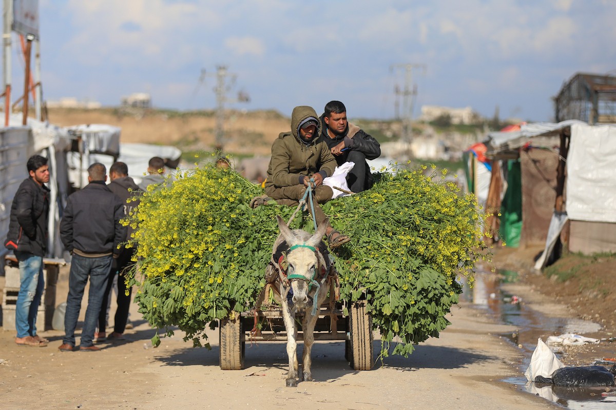 يُكافح الفلسطينيون النازحون في مخيم النصيرات للاجئين من أجل البقاء في ظل ظروف معيشية قاسية ونقص حاد في الاحتياجات الأساسية، ويواجهون تحديات يومية في الحصول على المأوى والغذاء والرعاية الصحية. النصيرات، وسط قطاع غزة، 27 فبراير/شباط 2026. صورة: رمزي أبو عامر