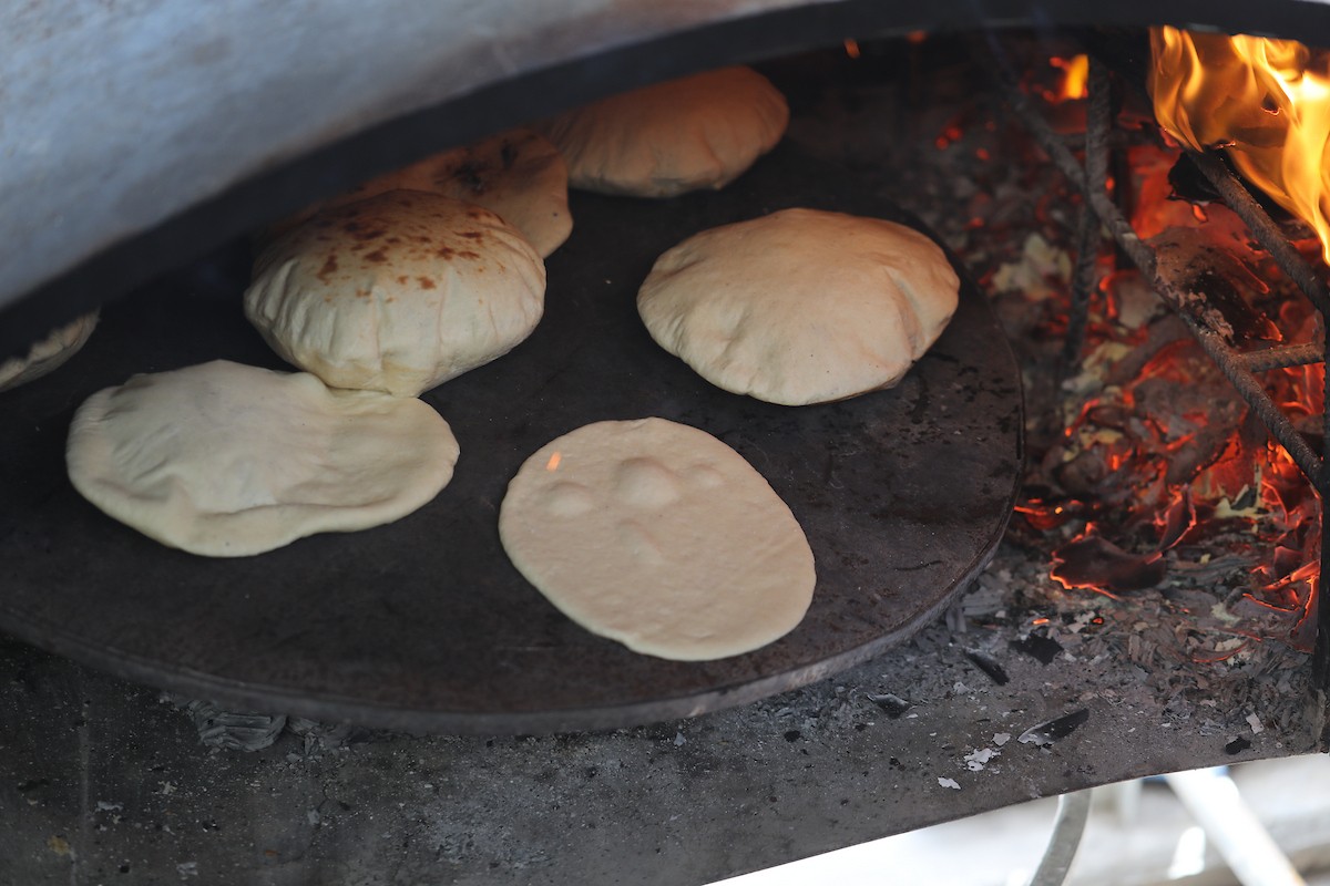 مجموعة من النساء يعملن داخل مخبز أُنشئ في مخيم اليرموك للاجئين بمدينة غزة، ضمن مبادرة إنسانية بالشراكة مع اللجنة الدولية للصليب الأحمر. تهدف المبادرة إلى تخفيف الأعباء المعيشية عن النساء النازحات، لا سيما خلال شهر رمضان. مدينة غزة، 25 فبراير/شباط 2026. تصوير: عمر أشتوي