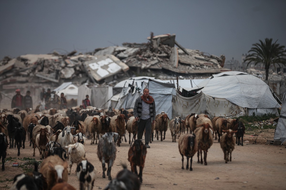 يعيش الفلسطينيون النازحون، وسط الأنقاض في خيام مؤقتة نُصبت في مخيم النصيرات للاجئين وسط قطاع غزة، في ظروف معيشية مزرية ونقص حاد في الاحتياجات الأساسية. ١ فبراير ٢٠٢٦. صورة: معز صالحي