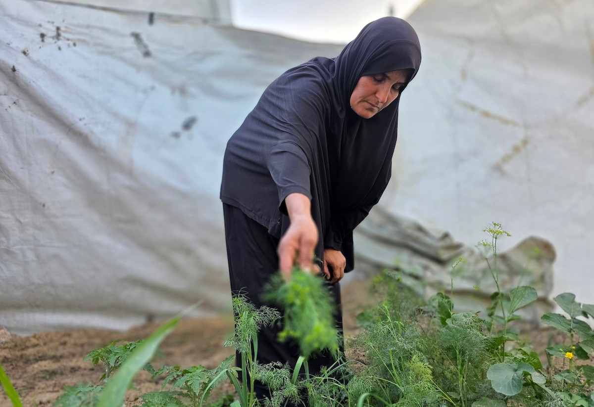 عائلة صبحية المصري النازحة من بيت حانون إلى خان يونس تواجه ظروفًا معيشية صعبة مع بداية شهر رمضان، بعد أن فقدت ثلاثة من أبنائها: شهيد، وأسير، ومفقود، 21 فبراير/شباط 2026. صورة: طارق محمد