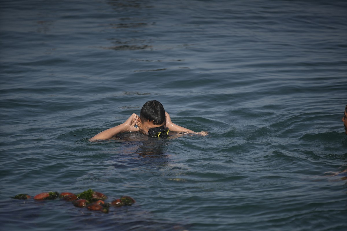 يسبح أطفال قرب ميناء غزة المدمر، في مشهد يعكس تمسكهم بلحظات الفرح رغم الدمار المحيط بهم. يُعدّ البحر في غزة المتنفس الوحيد لسكانها الذين يواجهون آثار الحرب والنزوح، والذين يعيشون في خيام تفتقر لأبسط مقومات الحياة، ١٢ فبراير ٢٠٢٦. تصوير: عمر أشتوي