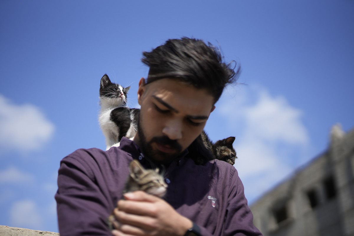 الشاب الفلسطيني عبد الله الزميلي (21 عامًا) يعتني بعدد من القطط الضالة والمصابة، موفّرًا لها الغذاء والعلاج في مأوى أنشأه على سطح منزله بمدينة غزة، في 29 مارس/آذار 2026. (تصوير: محمد عمر)
