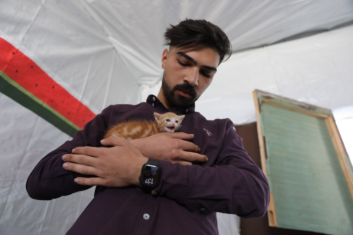 الشاب الفلسطيني عبد الله الزميلي (21 عامًا) يعتني بعدد من القطط الضالة والمصابة، موفّرًا لها الغذاء والعلاج في مأوى أنشأه على سطح منزله بمدينة غزة، في 29 مارس/آذار 2026. (تصوير: محمد عمر)