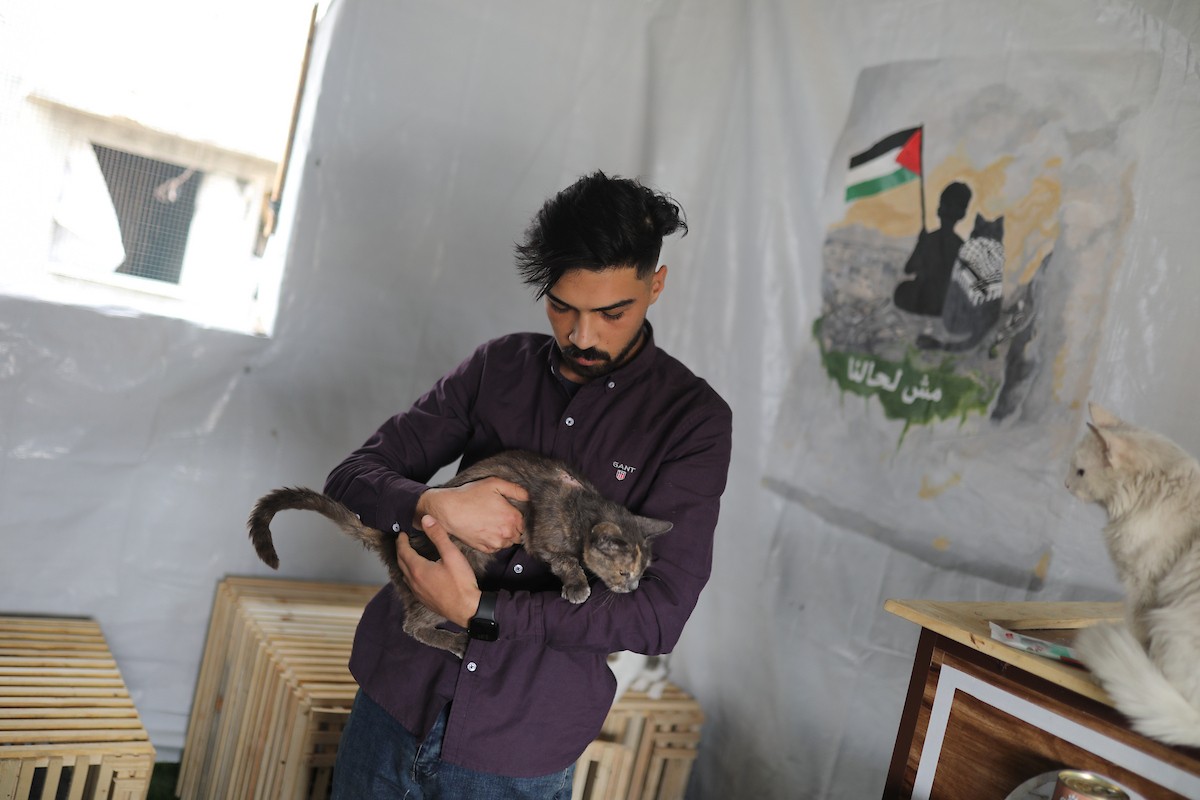 الشاب الفلسطيني عبد الله الزميلي (21 عامًا) يعتني بعدد من القطط الضالة والمصابة، موفّرًا لها الغذاء والعلاج في مأوى أنشأه على سطح منزله بمدينة غزة، في 29 مارس/آذار 2026. (تصوير: محمد عمر)