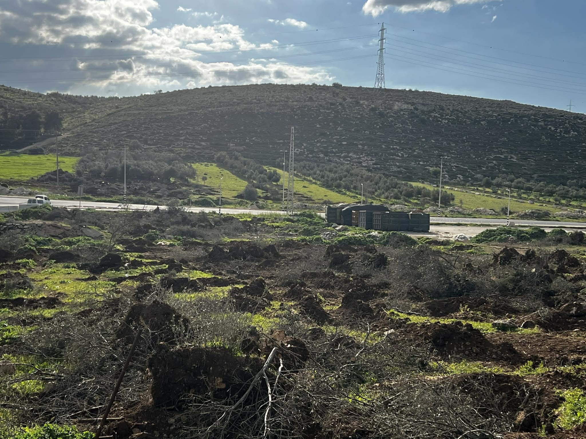 اعتداءات للمستعمرين في سعير ويطا.jpg