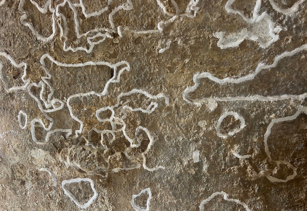 دير القديس هيلاريون وسط قطاع غزة المدرج على قائمة التراث العالمي وأحد أقدم المواقع الأثرية في الشرق الأوسط معرّض للخطر بسبب العدوان الإسرائيلي، النصيرات – وسط قطاع غزة، 18 أبريل/نيسان 2026، تصوير: يوسف أبو طفة