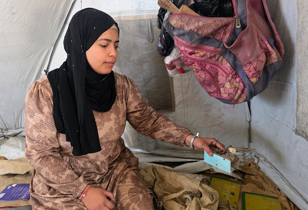 قبل أيام من موعد زفافها، فوجئت الشابة الفلسطينية أماني أبو سلمى بتلف جهازها بالكامل، بعد أن دمرت القوارض مقتنياتها داخل خيمتها في أحد مخيمات النزوح بمدينة خان يونس جنوب قطاع غزة.19 أبريل/نيسان 2026، (تصوير: طارق محمد )