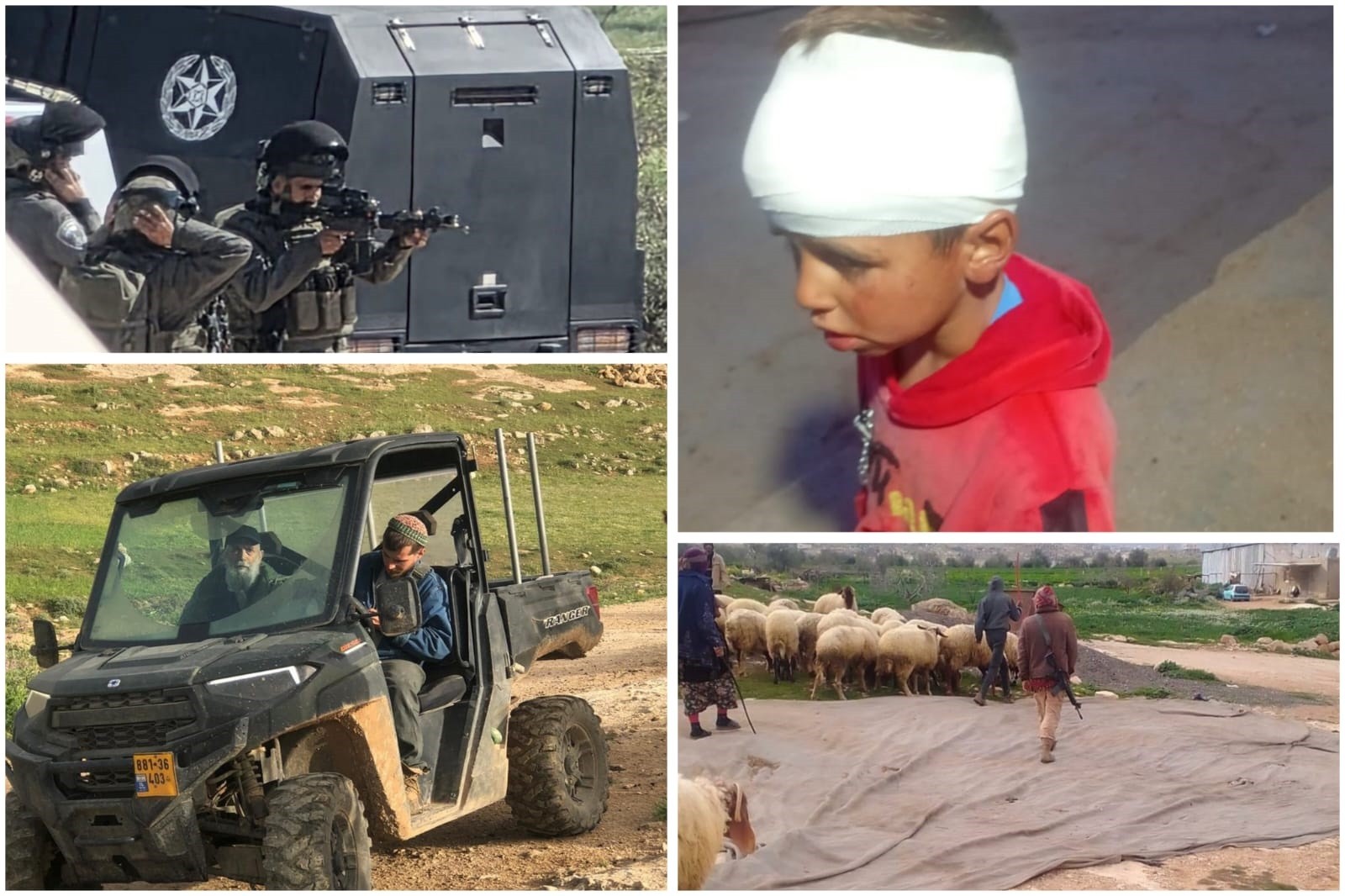 إصابة طفل وشاب وسرقة رؤوس ماشية في هجوم للمستعمرين على مسافر يطا.jpg