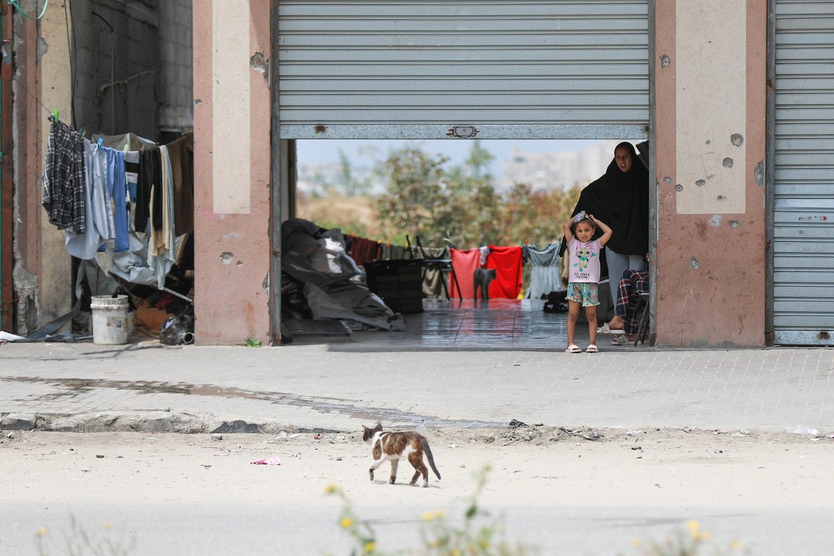 يعيش الفلسطينيون ظروفاً صعبة قرب الخط الأصفر شرق خان يونس، جنوب قطاع غزة، في 27 أبريل/نيسان 2026، حيث يواجهون إطلاق نار متكرر في منطقة تُعتبر خطرة، على طول خط حدودي أعادت القوات الإسرائيلية انتشارها فيه بموجب اتفاق وقف إطلاق النار. (صورة: رمزي أبو عامر)