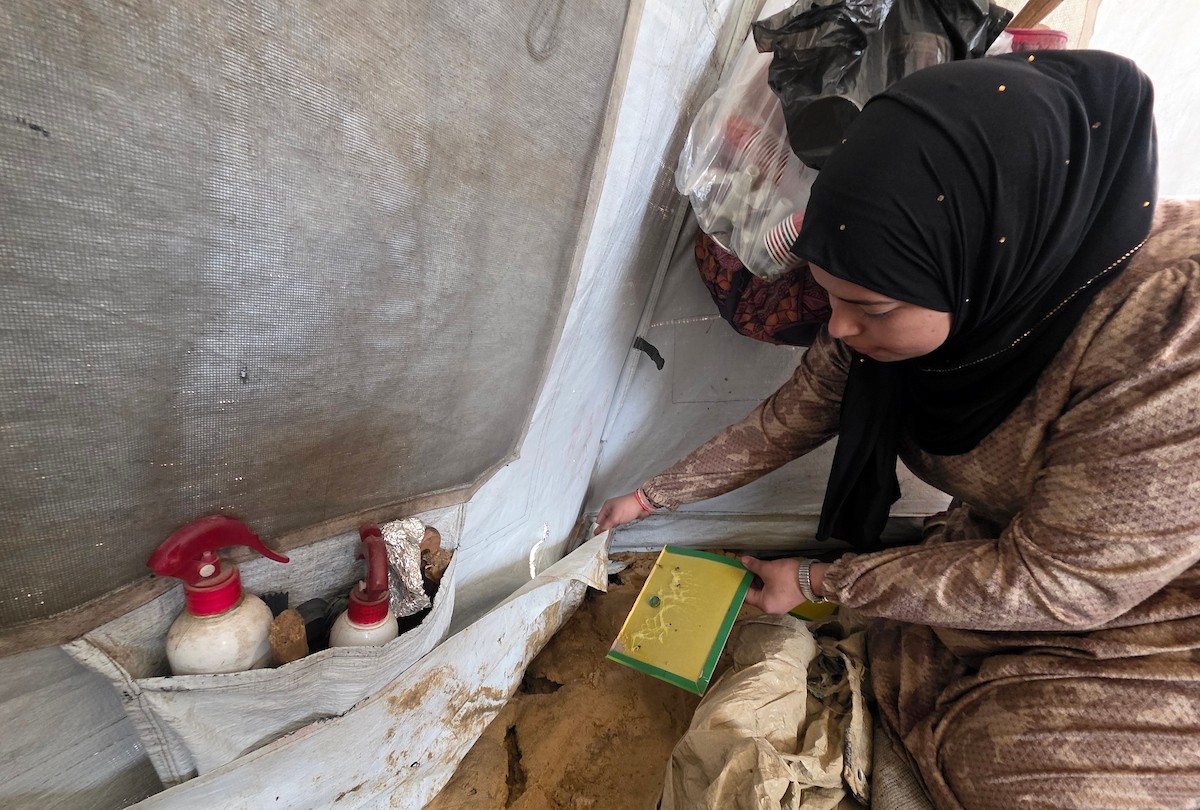 قبل أيام من موعد زفافها، فوجئت الشابة الفلسطينية أماني أبو سلمى بتلف جهازها بالكامل، بعد أن دمرت القوارض مقتنياتها داخل خيمتها في أحد مخيمات النزوح بمدينة خان يونس جنوب قطاع غزة.19 أبريل/نيسان 2026، (تصوير: طارق محمد )