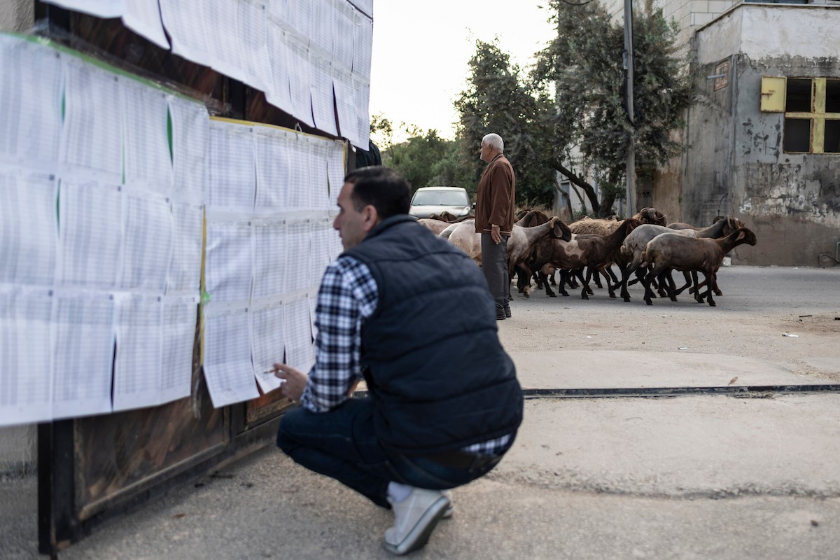 25 أبريل/نيسان 2026، الناخبون يدلون بأصواتهم في مراكز اقتراع انتخابات الهيئات المحلية لعام 2026 في جنين  شمال الضفة الغربية  (Credit Image: © Matteo Placucci/ZUMA Press Wire\ APA Images )