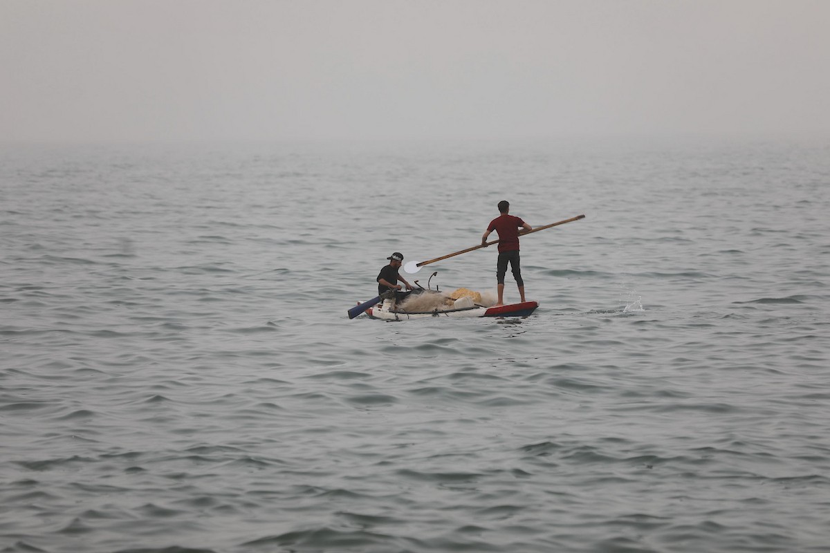 يقضي أطفال فلسطينيون أوقاتهم على شاطئ  غزة، باحثين عن ملاذ من حرارة الشمس وضغوط الحياة اليومية، في ظلّ الظروف الإنسانية المتردية التي يواجهها سكان القطاع جراء الحرب الدائرة، 17 أبريل/نيسان 2026. تصوير: بلال أسامة