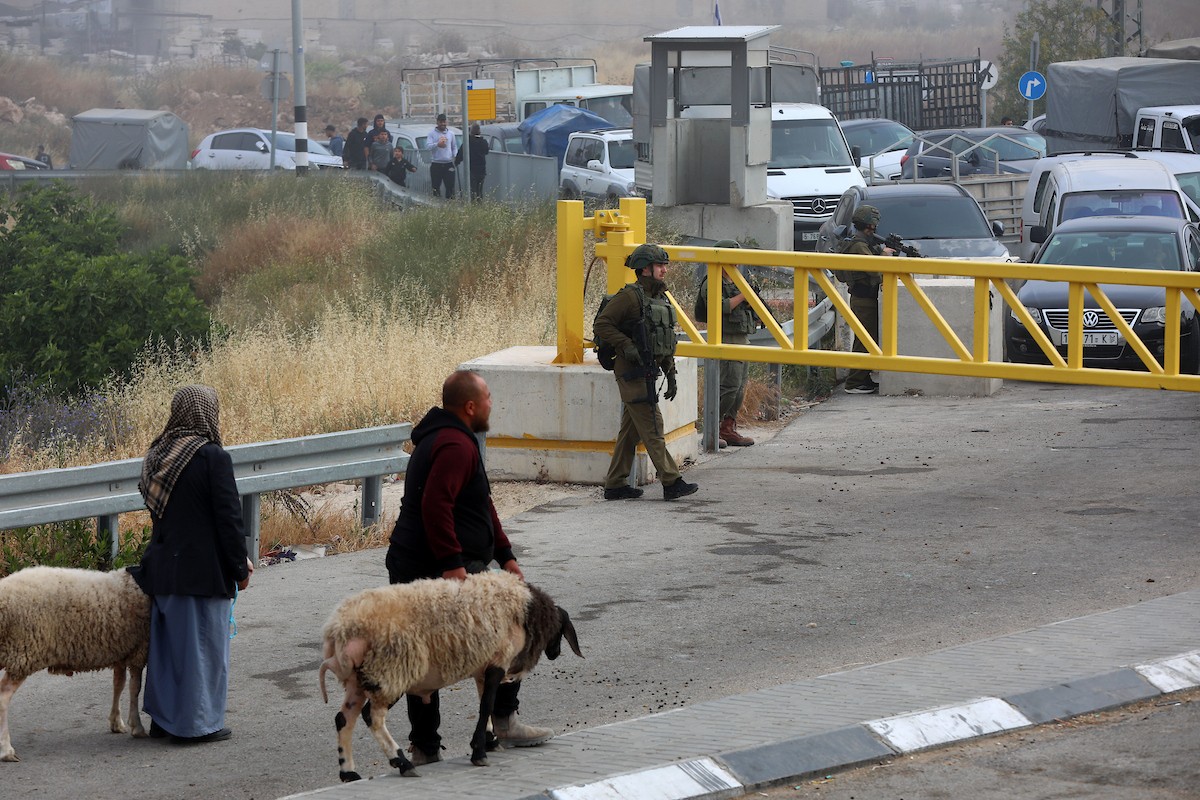 فلسطينيون يعبرون نقاط تفتيش أقامها جنود إسرائيليون بحواجز حديدية للوصول إلى سوق الحلال في الخليل، جنوب الضفة الغربية المحتلة، قبيل عيد الأضحى، في 22 أيار/مايو 2026. تصوير: مأمون وزواز.