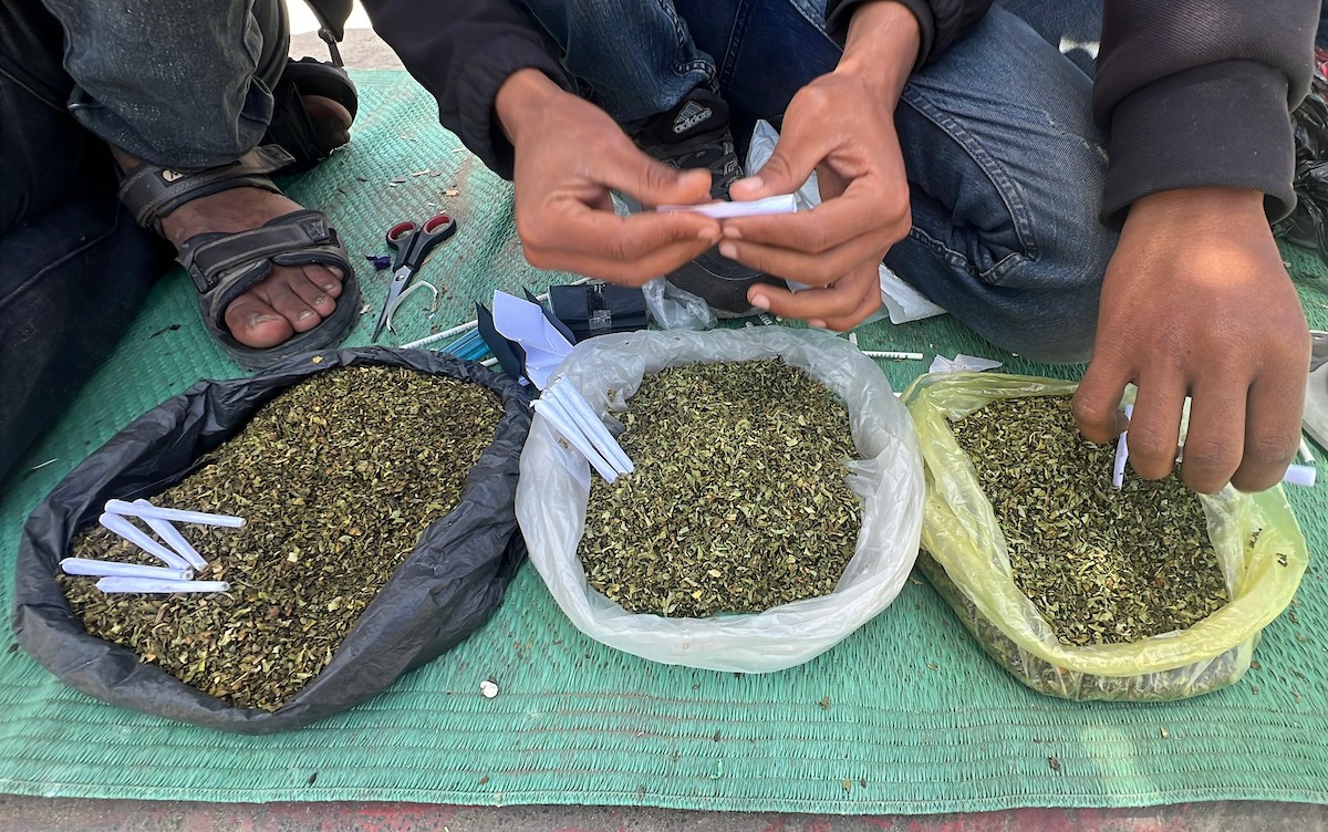 بائعون فلسطينيون يعرضون سجائر مصنوعة من أوراق الملوخية المجففة كبديل للتبغ، وسط نقص حاد في المعروض بمدينة غزة، 23 مايو/أيار 2026. الصورة: يوسف أبو وطفة