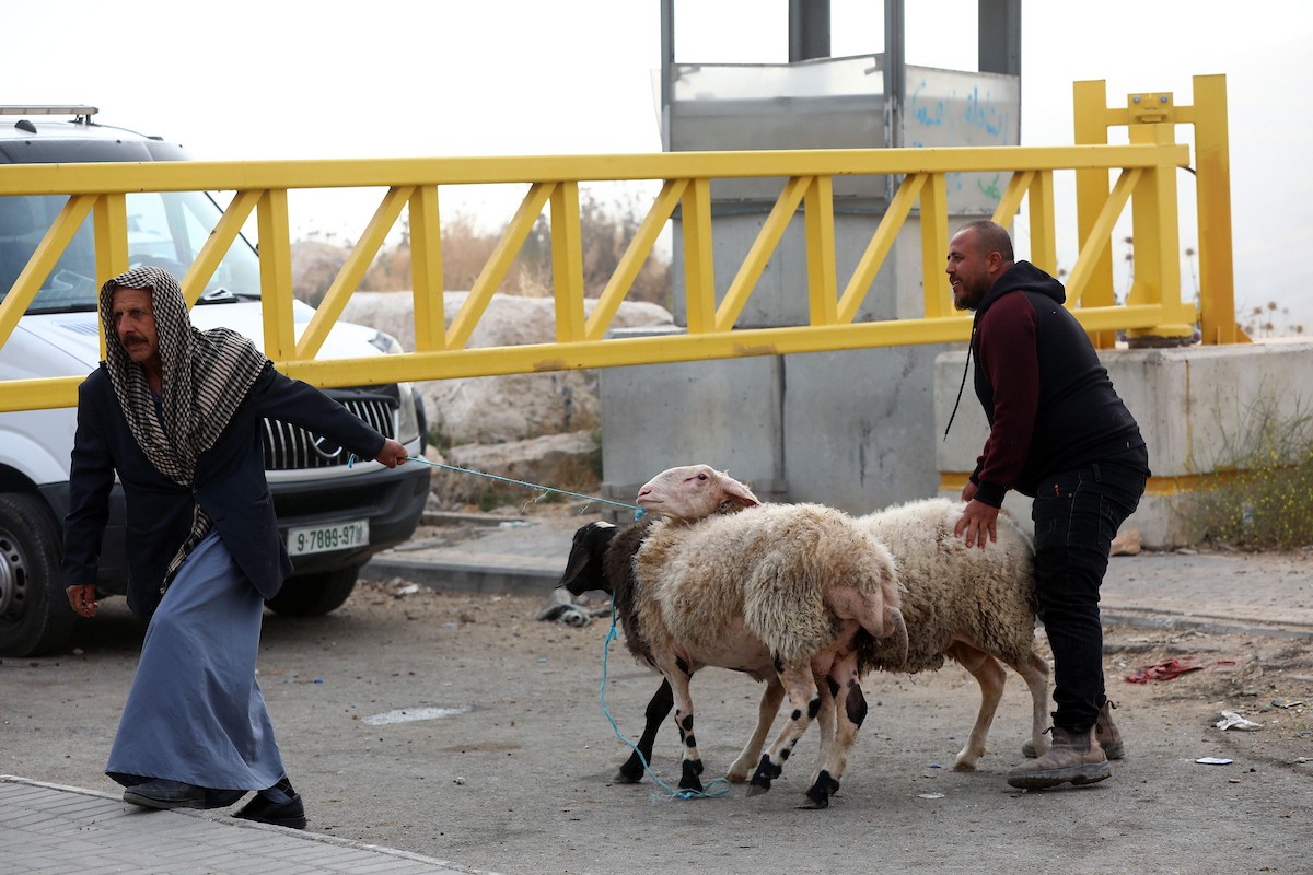 فلسطينيون يعبرون نقاط تفتيش أقامها جنود إسرائيليون بحواجز حديدية للوصول إلى سوق الحلال في الخليل، جنوب الضفة الغربية المحتلة، قبيل عيد الأضحى، في 22 أيار/مايو 2026. تصوير: مأمون وزواز.