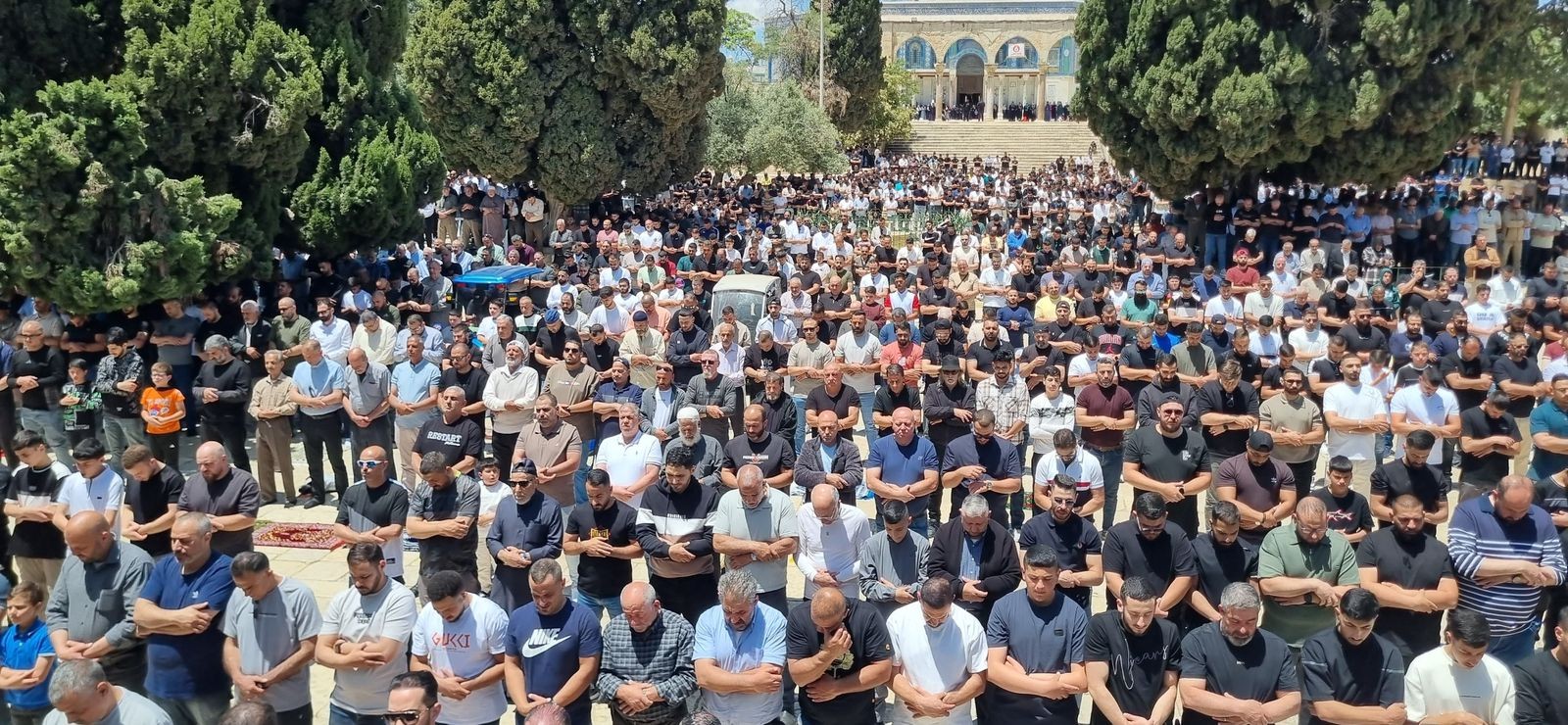 أكثر من 70 ألف مصلٍّ أدّوا اليوم صلاة الجمعة في رحاب المسجد الأقصى المبارك.jpg