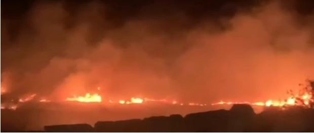 مستعمرون يحرقون أراضي زراعية في قرية المغير.JPG