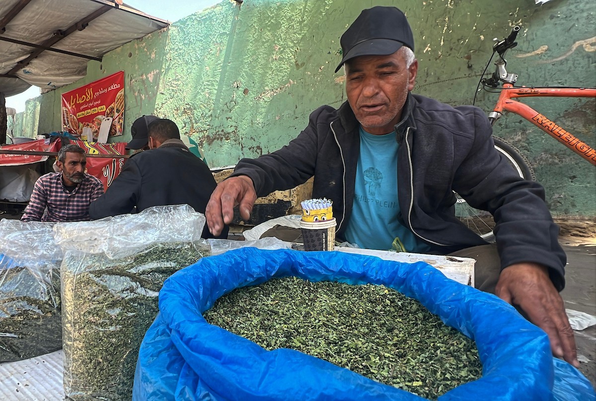 بائعون فلسطينيون يعرضون سجائر مصنوعة من أوراق الملوخية المجففة كبديل للتبغ، وسط نقص حاد في المعروض بمدينة غزة، 23 مايو/أيار 2026. الصورة: يوسف أبو وطفة