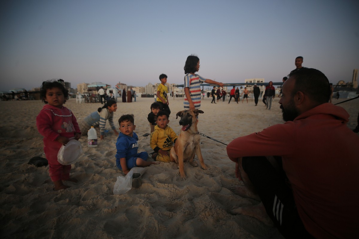 يقضي الفلسطينيون النازحون وقتهم على شاطئ غرب مدينة غزة، في الأول من مايو/أيار 2026، بحثًا عن متنفس من ظروف معيشية قاسية. يلجأ السكان إلى البحر كمتنفس من ضغوط الحياة اليومية(صورة: عمر أشتوي)