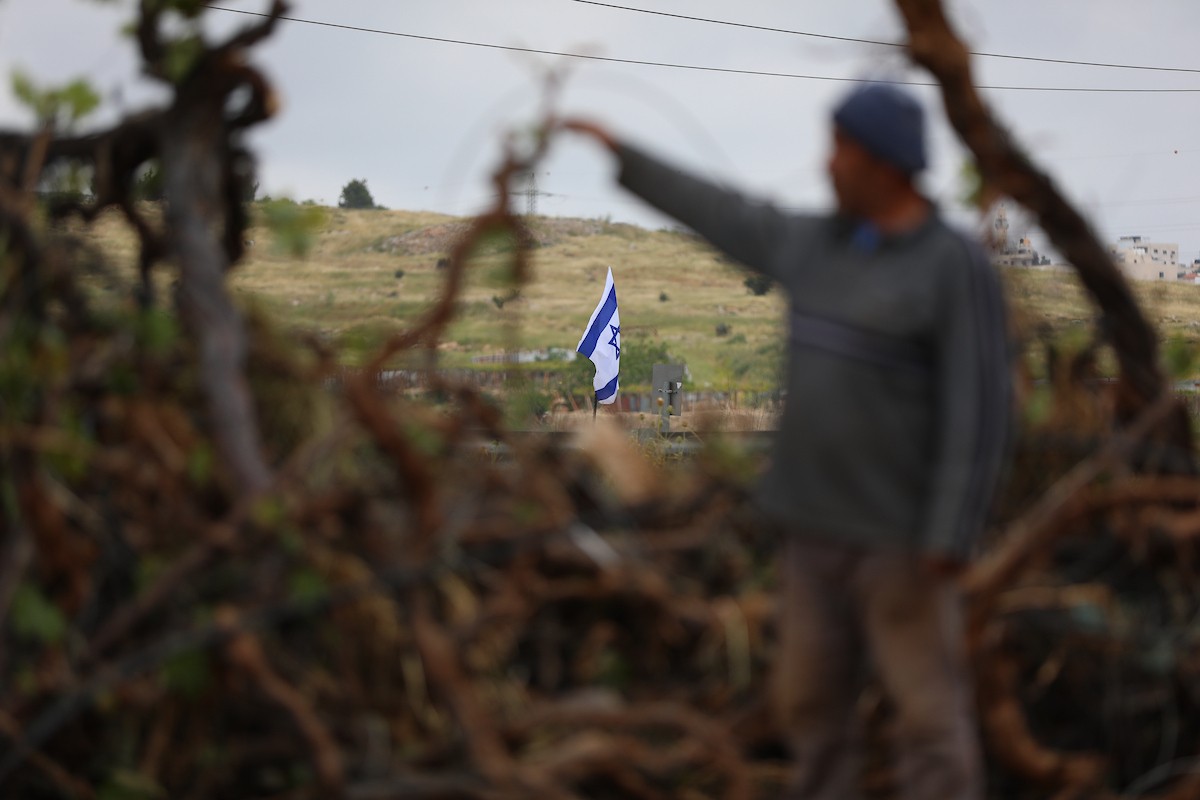 مزارع فلسطيني يتفقد أرضه بعد بدء القوات الإسرائيلية بالاستيلاء على أراضٍ زراعية واقتلاع آلاف كروم العنب في منطقة البقعة، جنوب الخليل، في الضفة الغربية المحتلة، في 6 مايو/أيار 2026.تصوير: مأمون وزواز