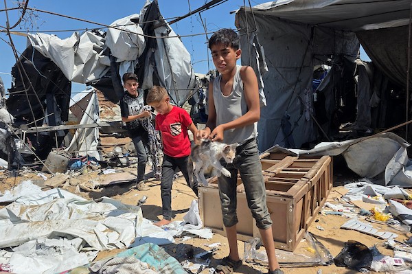 نازحون فلسطينيون يتفقدون الأضرار التي لحقت بخيامهم في منطقة مواصي خان يونس، جنوب قطاع غزة، عقب غارة إسرائيلية استهدفت المنطقة. تصوير: طارق محمد