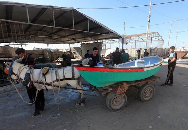 الفلسطيني عطية مقداد وأفراد من عائلته يصلحون قوارب تضررت جراء الغارات الإسرائيلية في ميناء غزة، في 2 يونيو/حزيران 2026. ويستخدمون أخشاباً جرى إنقاذها من المباني المدمّرة لصيانة القوارب وصنع المجاديف.تصوير: بلال أسامة