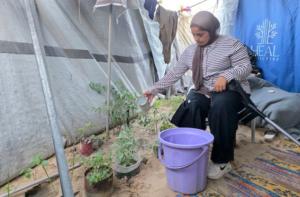 ديما قديح (16 عامًا) التي فقدت ساقها خلال الحرب، تعيش مع عائلتها داخل خيمة للنازحين في خان يونس، جنوب قطاع غزة، في 24 يونيو/حزيران 2026. (صورة: طارق محمد)