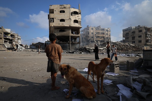 يتفقد فلسطينيون الأضرار التي لحقت بمبنى إثر غارة جوية إسرائيلية على شارع الجلاء وسط مدينة غزة، قطاع غزة، في 24 يوليو/تموز 2026. صورة: هادي داود