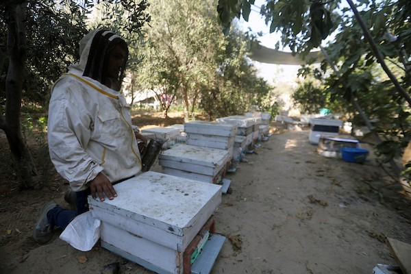 النحال الفلسطيني فهد الدحدوح يعمل على إعادة تأهيل منحل صغير دمرته الحرب في مخيم النصيرات وسط قطاع غزة، 7 يوليو/تموز 2026. (صورة: بلال أسامة)