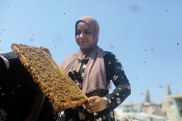 نيفين الأشقر وزوجها يعتنيان بخلية نحل نجت من الحرب فوق منزلهما المتضرر في مخيم جباليا، 18 أغسطس/آب 2026. تصوير: بلال أسامة