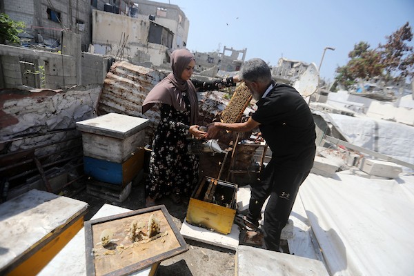نيفين الأشقر وزوجها يعتنيان بخلية نحل نجت من الحرب فوق منزلهما المتضرر في مخيم جباليا، 18 أغسطس/آب 2026. تصوير: بلال أسامة
