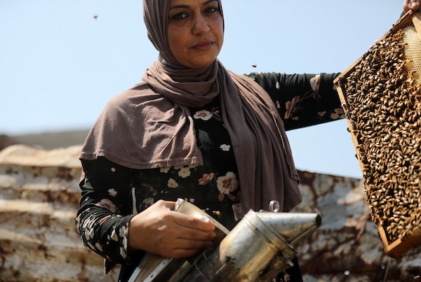 نيفين الأشقر وزوجها يعتنيان بخلية نحل نجت من الحرب فوق منزلهما المتضرر في مخيم جباليا، 18 أغسطس/آب 2026. تصوير: بلال أسامة