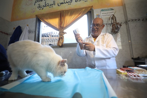 الطبيب البيطري الفلسطيني فايز الحداد يعالج حيواناً داخل عيادته في مخيم النصيرات وسط قطاع غزة، في 26 أغسطس/آب 2026، وسط نقص حاد في الأدوية والمستلزمات البيطرية وصعوبات في تأمين الغذاء للحيوانات. تصوير: حسن الجدي.